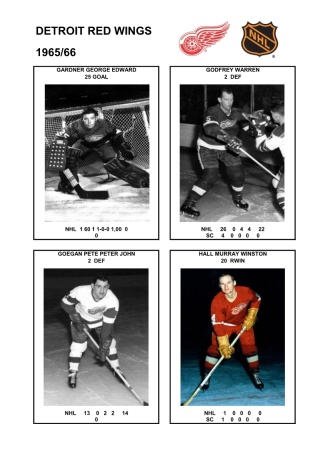 NHL det 1965-66 foto hracu4