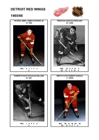 NHL det 1965-66 foto hracu8
