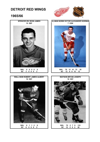 NHL det 1965-66 foto hracu9