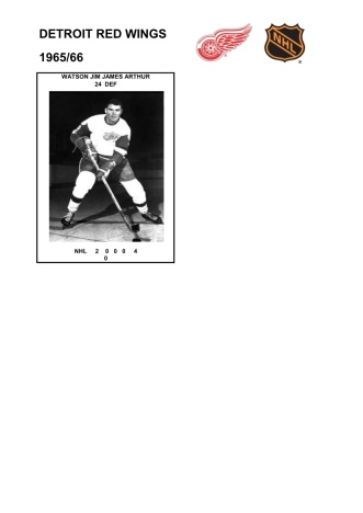 NHL det 1965-66 foto hracu10