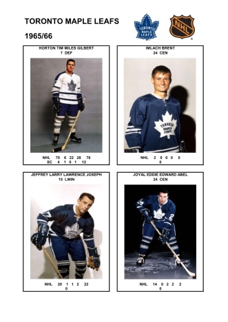 NHL tor 1965-66 foto hracu4