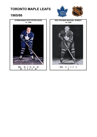NHL tor 1965-66 foto hracu9